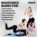 Resistance Bands Set of 5 | Exercise Bands for Glutes Hips & Legs | Ideal for Home Workouts | Resistance Band Set for Men & Women - Buy Online on GoSupps.com