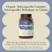 Organic Ashwagandha Capsules - 100 Capsules 500mg Pure Ashwagandha Stress Mood & Energy Support Supplement - Buy Online on GoSupps.com