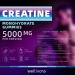 Creatine Monohydrate Gummy - 5000mg per Serving 120 Count - Supports Muscle Strength Endurance and Energy - Delicious Blackcurrant Flavor - Gluten-Free Vegan-Friendly - Buy Online on GoSupps.com