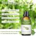100ml Tea Tree Essential Oil - Therapeutic Grade, 100% Pure & Natural, for Diffuser, Skin Care, Hair Growth, Toenail, Home Cleaning, Candle Making - with Dropper - Buy Online on GoSupps.com