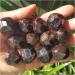 Natural Crystal Rough Natural Rough Garnet Crystal Stone Raw Semiprecious Tumbled Stone (Size : 100g) - Buy Online on GoSupps.com