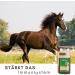 Supravit Bronchial Herbs for Horses | 1000ml Liquid Herbal Mixture | Supports Airway Health with 14 Natural Ingredients - Buy Online on GoSupps.com