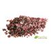 Buy Organic Dulse Flakes | Wild Atlantic Seaweed | Vegan Umami Seasoning | Pureeraw 75g - International Shipping Available - Buy Online on GoSupps.com