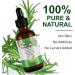 100% Pure Organic Rosemary Essential Oil for Hair Growth, Eyebrow and Eyelash Nourishment - 60ML - Buy Online on GoSupps.com