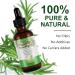 Aliver Rosemary Oil for Hair & Scalp (2 Pack) | 100% Natural Stimulating Hair Growth Oil & Aromatherapy Essential Oil | 60ml each - Buy Online on GoSupps.com