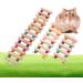 Pet Hanging Ladder - Wooden Suspension Bridge for Birds, Hamsters, and Rodents | 7 Steps Climbing Swing Toy for Cage Decor - Buy Online on GoSupps.com