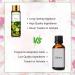 PATOIL Lime Fragrance Oil - 10ml for Aromatherapy, Soap and Candle Making - Buy Online on GoSupps.com