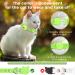 Airtag Cat Collar with Holder & Bell | Reflective Safety Neck Band for Kittens & Puppies - Green - Buy Online on GoSupps.com