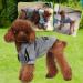 Fashion Dog Hoodie - Stylish Pure Cotton Streetwear for Small & Medium Dogs | Gray/Red Sweatshirt Outfit - Buy Online on GoSupps.com