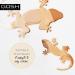 GOSH Chameleon Primer 30ml - Anti-Wrinkle Smooths & Protects All Skin Types - Moisturizing Vegan Primer for Allergy Sufferers - Buy Online on GoSupps.com
