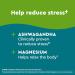 Nature Made Wellblends Calm & Relax - Ashwagandha 125mg, Magnesium 300mg - 54 Vegetarian Capsules - Buy Online on GoSupps.com