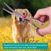 Elefirly Dog Care Scissors Set - 2-Pack Curved Safety Tip Scissors & Comb for Dogs & Cats Pet Grooming Essentials in Red - Buy Online on GoSupps.com