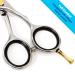 Equinox Professional Razor Edge Series 6.5 Hair Cutting & Thinning Scissors Set - Buy Online on GoSupps.com