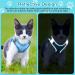 GOTRUST Cat Harness and Lead Set Breathable Mesh Kitten Harness Adjustable Escape-Proof Cat Vest with Leash Reflective Pet Harness for Small Animals Rabbit Cats Puppy - Blue - Buy Online on GoSupps.com