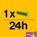 Pedigree Dentastix Fresh Daily Dental Chews Small Dog - 112 Sticks (4 x 440g) - Flavor 5 - Buy Online on GoSupps.com