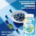 SXNWSN NAD Supplement NAD+ Gummies with Nicotinamide Riboside Trans-Resveratrol Quercetin - Anti-Aging Energy Support & Cellular Health Sugar-Free Blueberry Flavor 90 ct - Buy Online on GoSupps.com