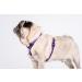 CHABA Adjustable Dog Harness for Large Dogs - Anti-Choking & Control - Lightweight Step-In Design - Perfect for Running - XL Violet - Buy Online on GoSupps.com