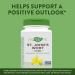 Nature's Way Premium St. John s Wort Herb Promotes A Positive Outlook* 700 mg per Serving & Doctor's Best High Absorption Magnesium Glycinate Lysinate 100% Chelated Non-GMO Vegan Gluten - Buy Online on GoSupps.com