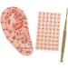 Healvian 3 Sets Auricular Tools - Ear Acupoint Stickers for Ear Pressure Relief - Portable Household Model Kits for Self-Care - Disposable Silicone & Aluminum Alloy Set [Assorted Colors] - Buy Online on GoSupps.com