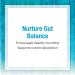 Natural Factors Ultimate Probiotic for Seniors - 35 Billion CFU, 30 Vegetarian Capsules - Buy Online on GoSupps.com