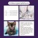 Felimove Dental Liquid for Cats Vital Mushrooms Propolis EPA & Zinc for Gums Health | International Shipping - Buy Online on GoSupps.com