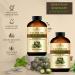 Castor Oil with Rosemary & Peppermint for Hair Growth, Eyelashes & Eyebrows - 100% Pure Carrier Oil - 4 fl. Oz - Buy Online on GoSupps.com