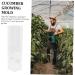 BESPORTBLE 2pcs Vegetable Shaping Cucumbers Cucumber Square Cucumber Snake Melon Watermelon - Buy Online on GoSupps.com