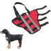 Dog Hind Leg Brace Dog Supplies Dog Health and Supplies Comfort Dog Knee Pads Brace to Heal Pain Caused by Surgery with Reflective Strip Dog Health and (L) - Buy Online on GoSupps.com