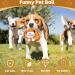 Non-Toxic Moving Dog Toys Ball | Active Plush Pet Toys for Training | Bite-Proof & Safe for International Shipping - Buy Online on GoSupps.com
