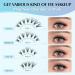 Oreola D Curl Single Eyelashes Set 9-16mm 240pcs Bond & Sea Perfect for International Shipping - Buy Online on GoSupps.com