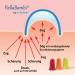 BellaBambi Cupping Cup by K-Active VITALITY - Original Negative Pressure Massage Tool | Orange | 3.5 cm - Shop Internationally - Buy Online on GoSupps.com
