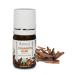 Organic Cinnamon bark Essential Oil 100% Pure Undiluted Cinnamomum zeyl Therapeutic Grade Premium Quality Aromatherapy Oil Tested & Verified 5ML 0.17 Fl. Oz 0.17 Fl Oz (Pack of 1)