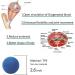 Massage Lacrosse Balls for Myofascial Release & Deep Tissue Massage - Target Sore Muscles, Trigger Point Therapy, Muscle Knots, Foot Pain Relief & Yoga - Buy Online on GoSupps.com