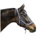 Kerbl Nylon Halter Hippo Nylon Halter for Pony Shetty Full Cob XFull 6 Colors 34 blue