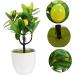 Zerodeko 2pcs Faux Lemon Potted Plant Mini Greenery Faux Plants Indoor Artificial Fruit Tree Bonsai Summer Flower Decor Ornament Office Lemon Tree Decors Plastic Desktop Decorations Yellow 11x6.5x26cm - Buy Online on GoSupps.com