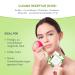 Foreo Green Tea UFO Face Masks for Oily Skin - 3-Pack | Antioxidant Cleanser with Green Tea & Ulmus Extract | Vegan & Compatible with UFO 2 - Buy Online on GoSupps.com