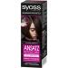Syoss Approach Retoucher Dark Brown Level 1 (3 x 60 ml) - Semi-Permanent Hair Color for Quick & Easy Touch-Ups - Lasts 7 Days - International Shipping Available - Buy Online on GoSupps.com