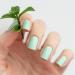 AVOA Beauty Nail Foil - Delight-Mint | Pastel Green Self-Adhesive Nail Wraps | Long-Lasting 16 Pack for Perfect Manicure - Buy Online on GoSupps.com