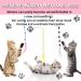 Fanshiontide 3 Packs Cat Wand Interactive Cay Toy Cat Feather Toys with Plush Balls and Bells Cat Teaser Wand for Indoor Cat Kitten Hunting Exercising Eliminating - Buy Online on GoSupps.com