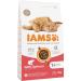 IAMS Dry Cat Food with Salmon - Nutritious 3kg for Cats 1-6 Years - Premium Quality - Buy Online on GoSupps.com