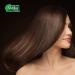 Dabur Vatika Henna Hair Color - 100% Grey Coverage, Zero Ammonia Dye for Strong & Shiny Hair - 6 Sachets X 10g (Dark Brown) - Buy Online on GoSupps.com