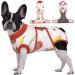 Kuoser dog body after op breathable dog body after castration male/bitch katzbody after op as leakage protection protective collar dog alternative for dogs cats s vegetables
