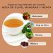 Olive Apple & Mint Infusion 100% Organic 100g (50 cups) | Olive Leaves Infusion with Hibiscus and Peppermint REPLANT A  - Buy Online on GoSupps.com