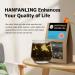 HANFANGLING White Peach Oolong Tea | Refreshing Caffeine Alternative | Promotes Digestion | Fresh Sweetness & Aromatic Taste - Buy Online on GoSupps.com