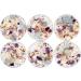 Lavender Chamomile Candle Set of 6 | Calming Energy & Aromatherapy | Crystal & Herb Infused | New Moon Beginnings - Buy Online on GoSupps.com
