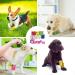 8 Rolls Dog Bandage Self Adhesive Cohesive Dog Bandage Vet Wrap for Dogs Non-Woven Elastic Dog Paw Bandage for Legs Paws Wrist Ankle 5cm X 4.5m (Multicolor) - Buy Online on GoSupps.com