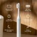 SURI Sustainable Sonic Toothbrush - Slim and Powerful Electric Toothbrush Recyclable Plant-Based Head 2 Modes Including UV LED Cleaning Case Mirror-Mount and Charging Stand - Sea Mist UV Case + Toothbrush Sea Mist - Buy Online on GoSupps.com