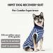 Hipet Recovery Suit for Dogs & Cats | XXL Blue Striped | Prevents Licking & Protects Surgical Wounds | E-Collar Alternative - Buy Online on GoSupps.com