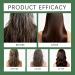  Generisch Rosemary Hydrolyzed Keratin Shampoo 100ml Rosemary Leaf Oil Shampoo Gentle Fluffy Conditioner for Men and Women Gentle Fluffy Cleansing Conditioner (1) - Buy Online on GoSupps.com