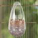 POPETPOP Parakeet Food Small Bird Feeder Bird Feeders Hanging Bird Feeder Bird Feeder Inside House Birdcage Window Frame 15x8cm - Buy Online on GoSupps.com
